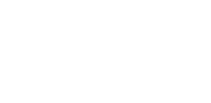 2020 HALF OF YEAR RANKING